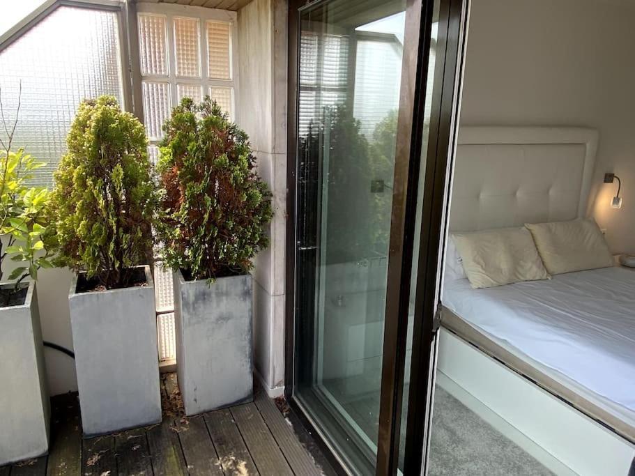 Avenida Vt - Vivienda Turistica Lägenhet San Sebastián Exteriör bild